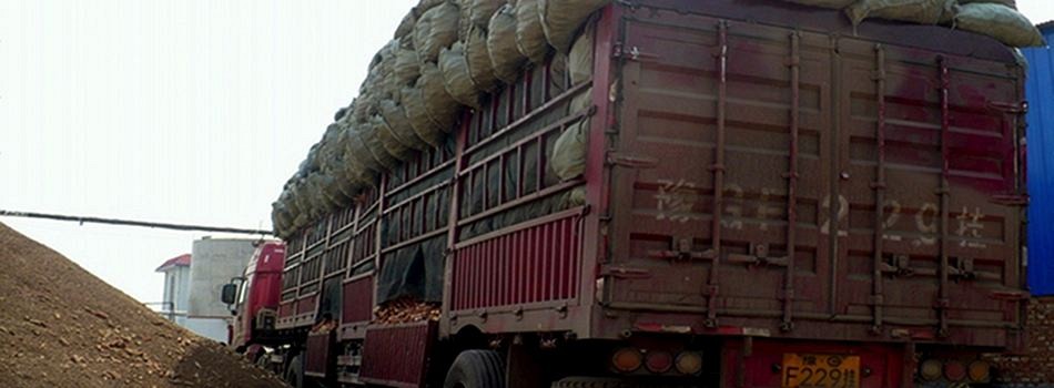 Cob Transport (China)