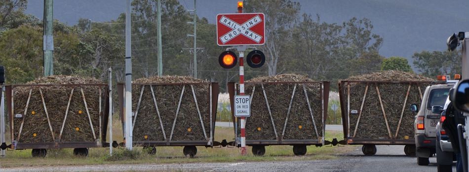Sugarcane Train (Queensland Australia)
