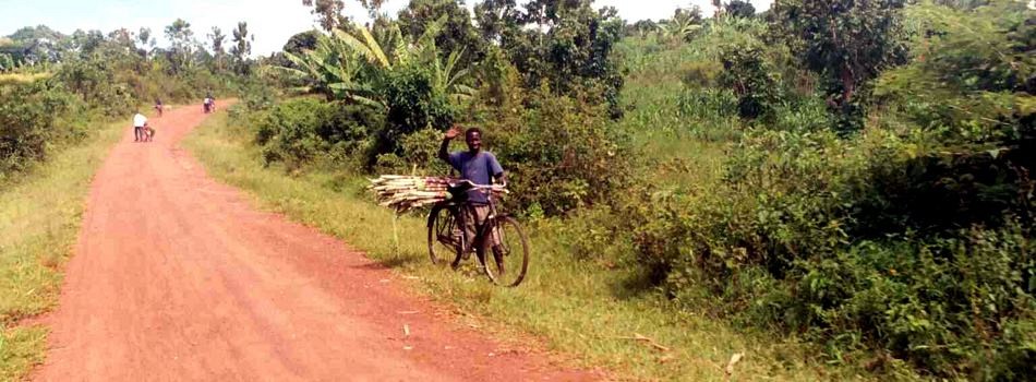 Sugarcane by Bicycle