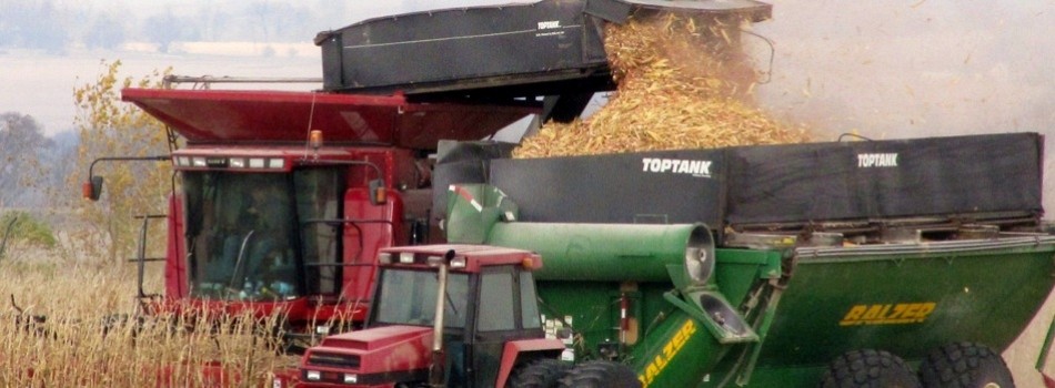 Converting Biomass